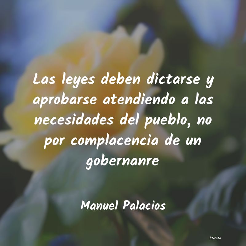 Frases de Manuel Palacios