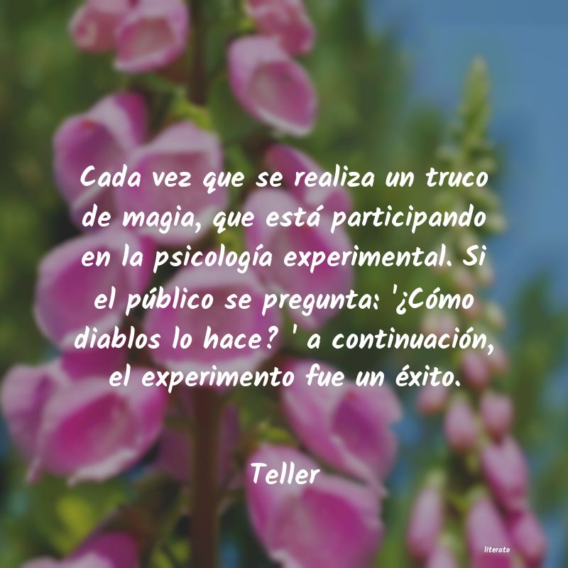 Frases de Teller