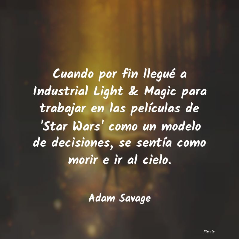 Frases de Adam Savage