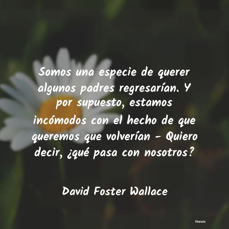 Frases de David Foster Wallace