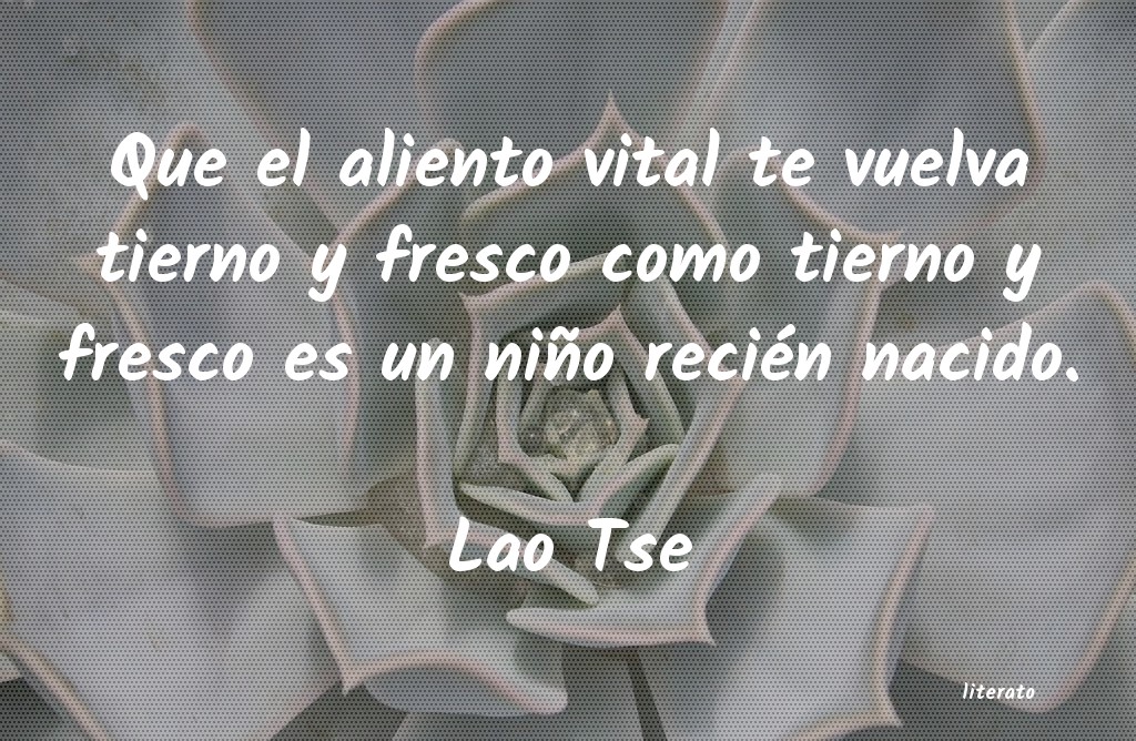 Frases de Lao Tse