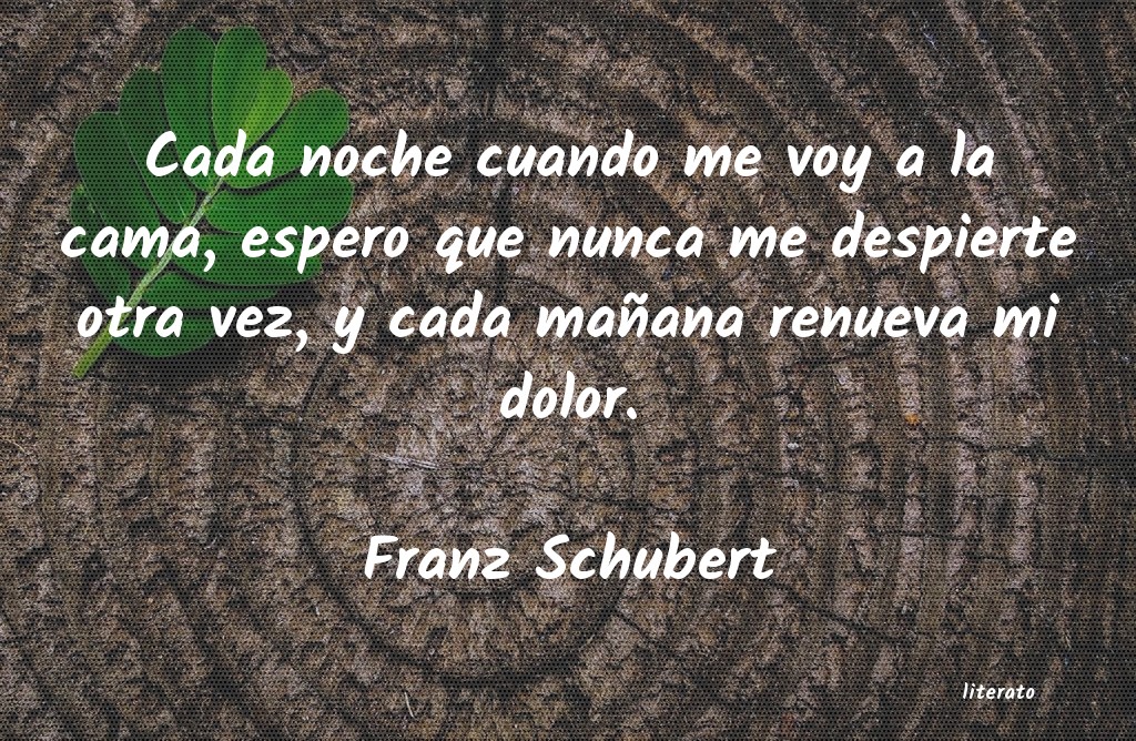 Frases de Franz Schubert