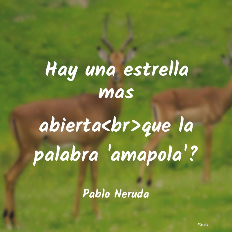 Frases de Pablo Neruda