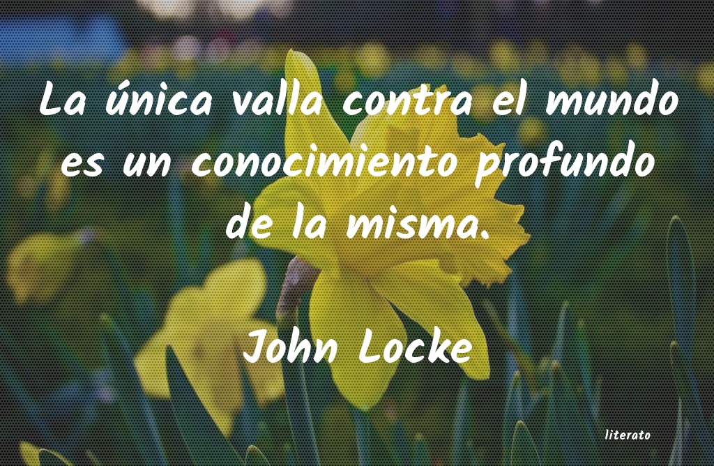 Frases de John Locke