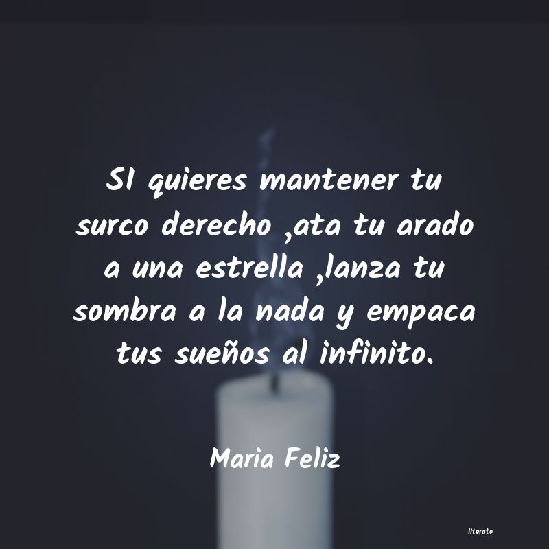 Frases de Maria Feliz