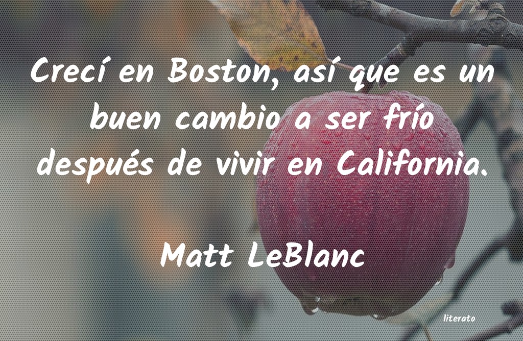 frases de Matt LeBlanc