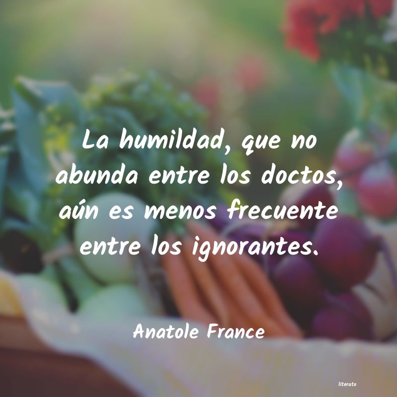 frases de Anatole France