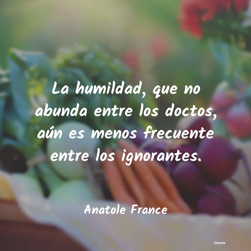 Frases de Anatole France