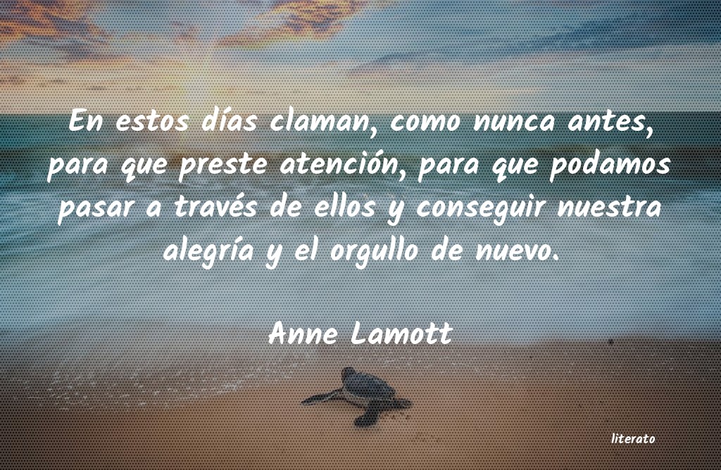 frases de Anne Lamott