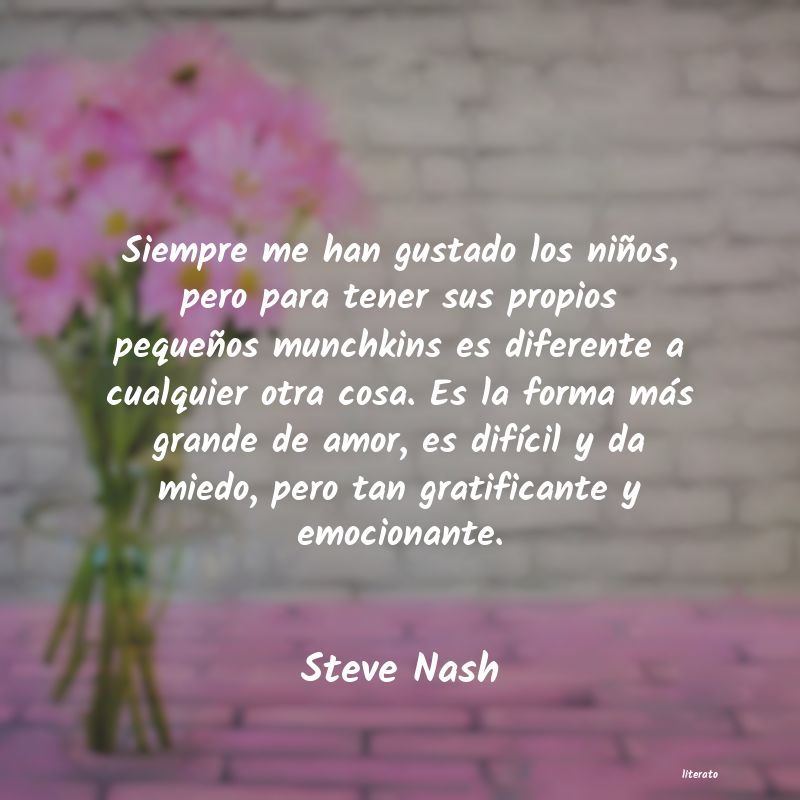 Frases de Steve Nash