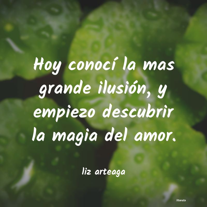 Frases de liz arteaga