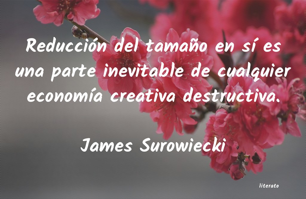 frases de James Surowiecki