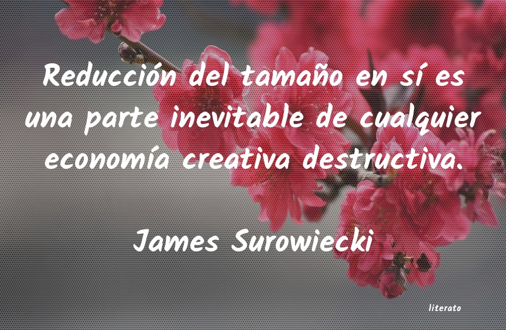 Frases de James Surowiecki