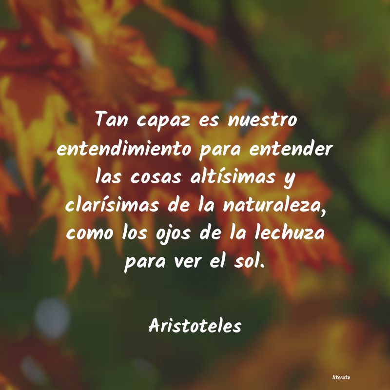 Frases de Aristoteles