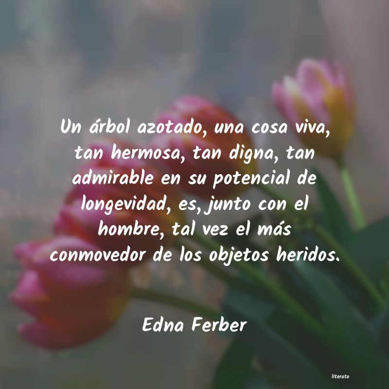 Frases de Edna Ferber