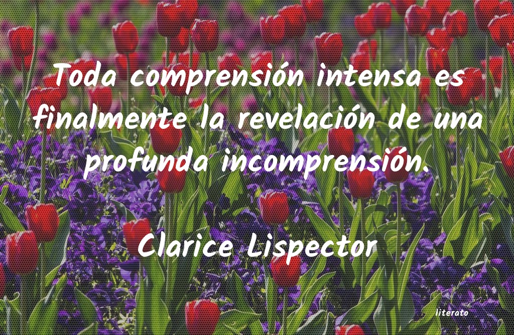 Frases de Clarice Lispector