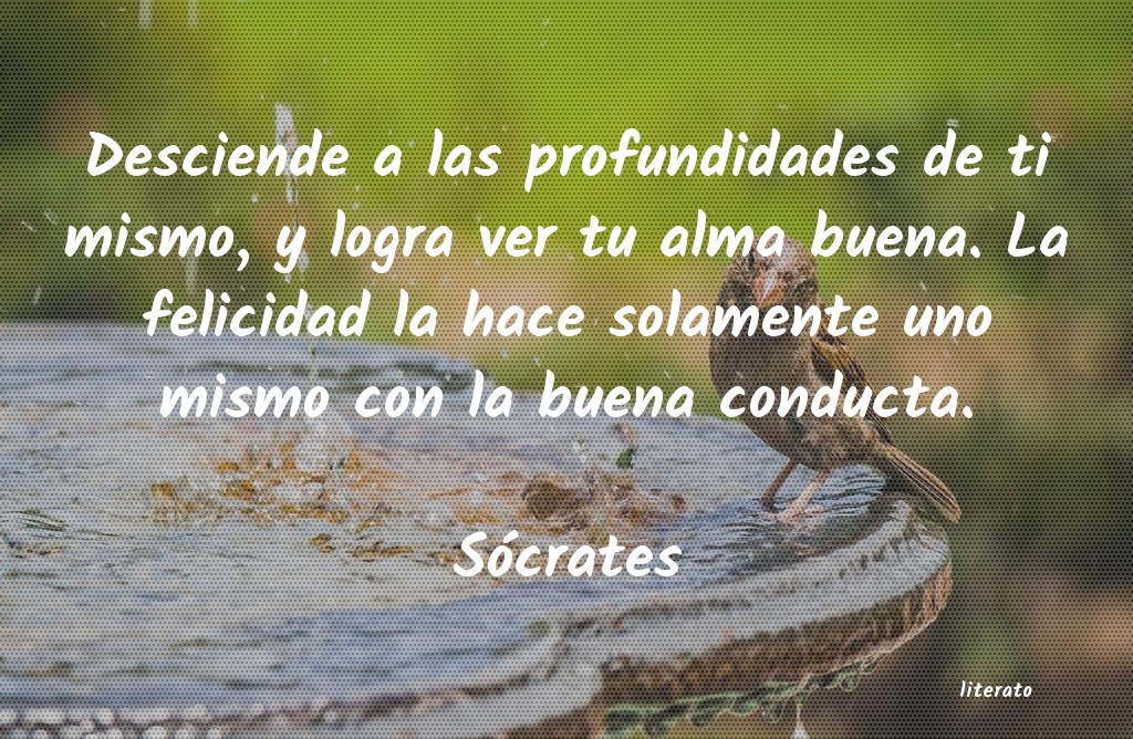 Frases de Sócrates