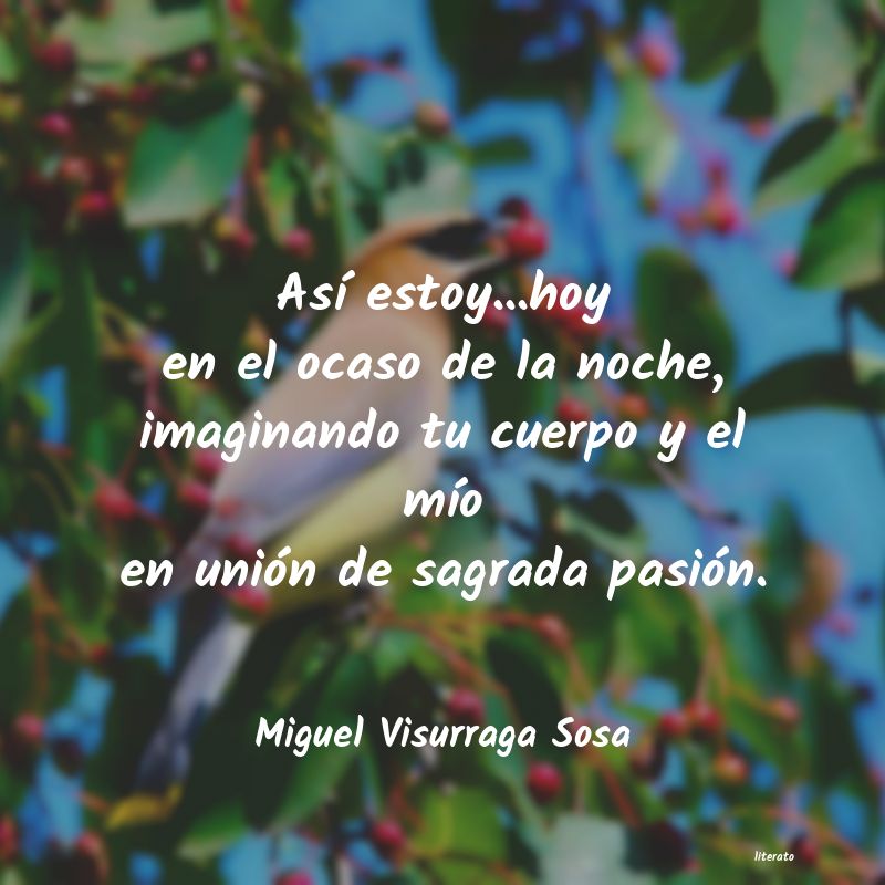 frases de Miguel Visurraga Sosa