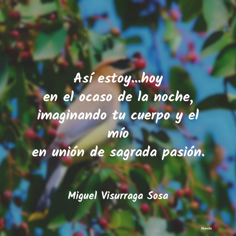 Frases de Miguel Visurraga Sosa