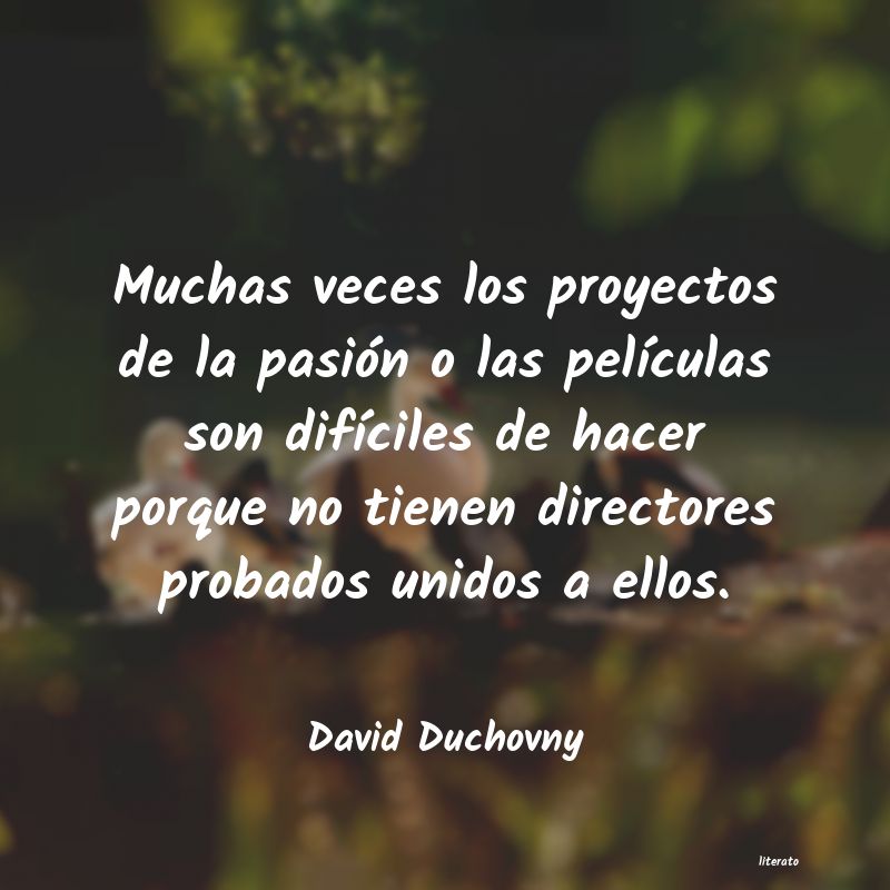 frases de David Duchovny