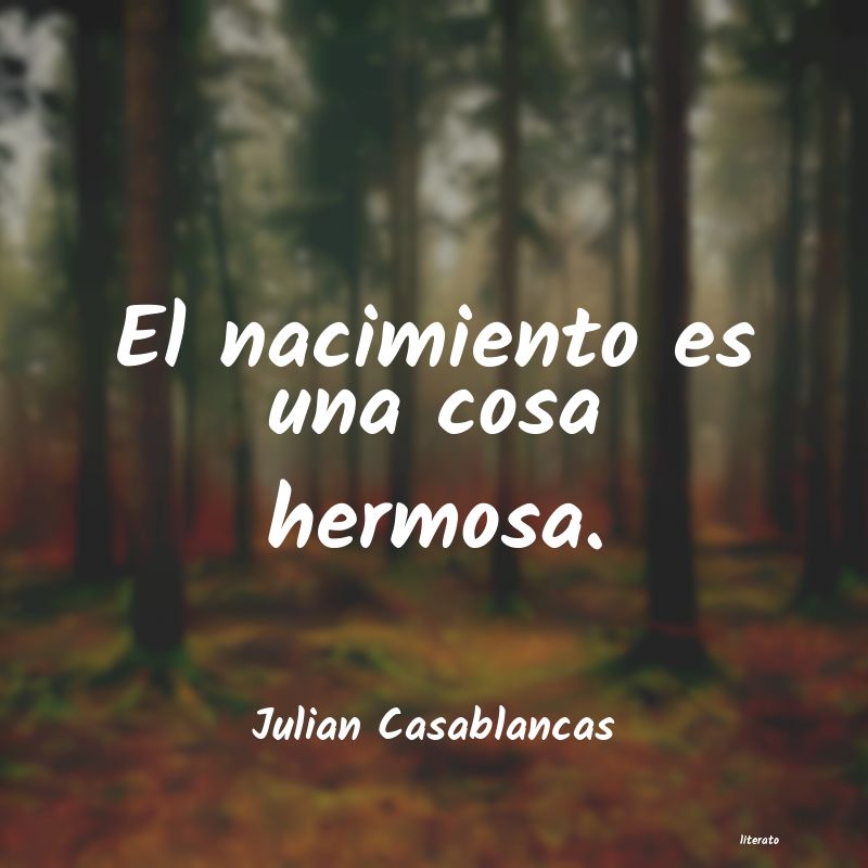 Frases de Julian Casablancas