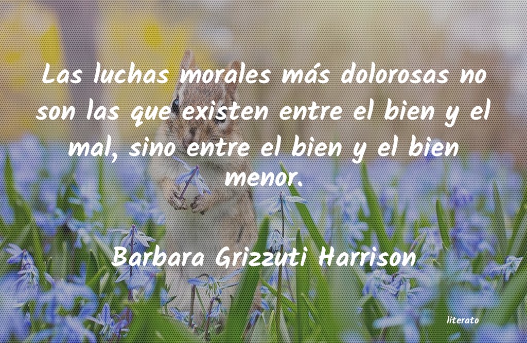 Frases de Barbara Grizzuti Harrison