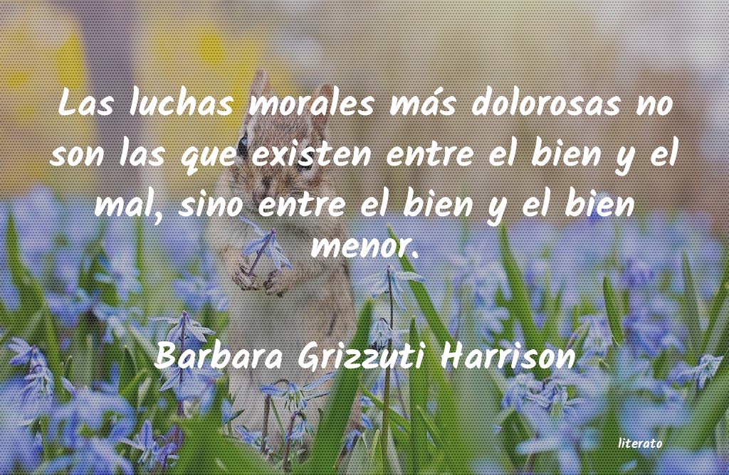 frases de Barbara Grizzuti Harrison