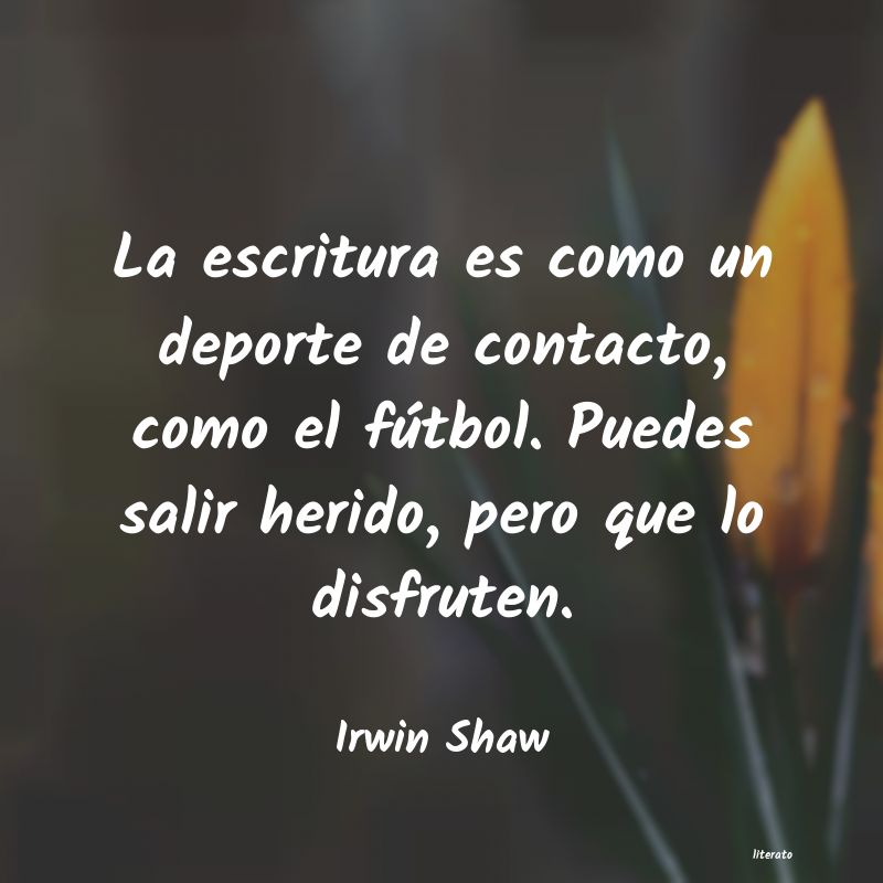 Frases de Irwin Shaw