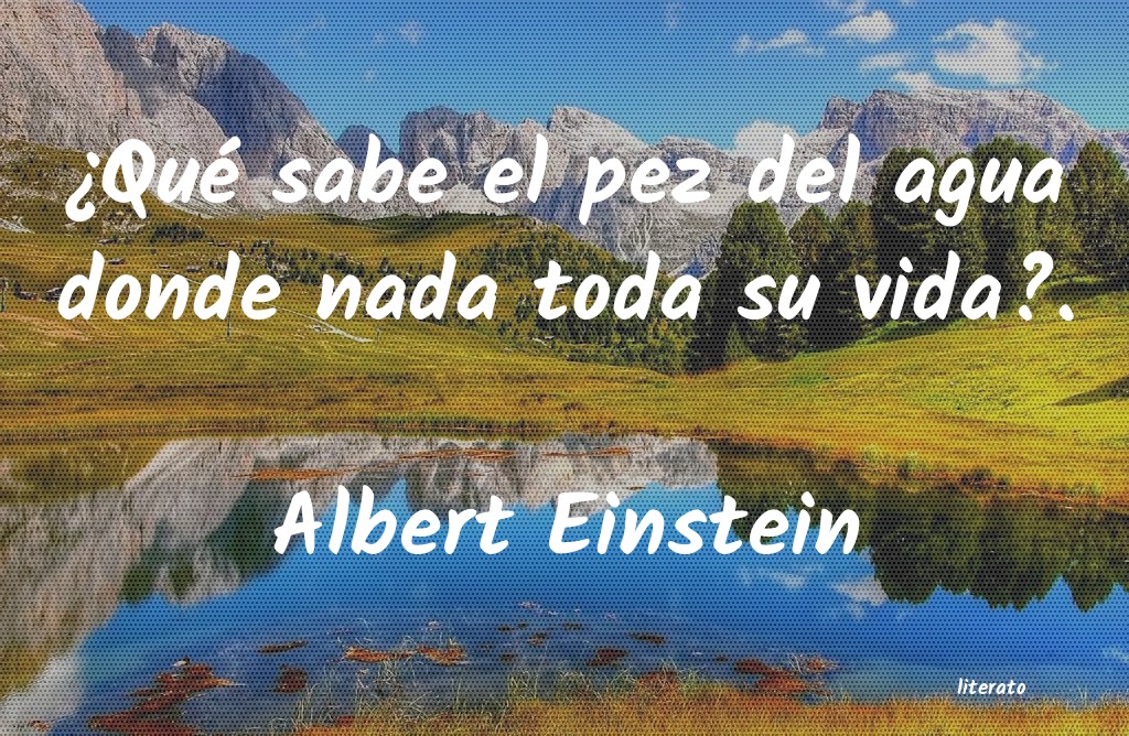 Frases de Albert Einstein