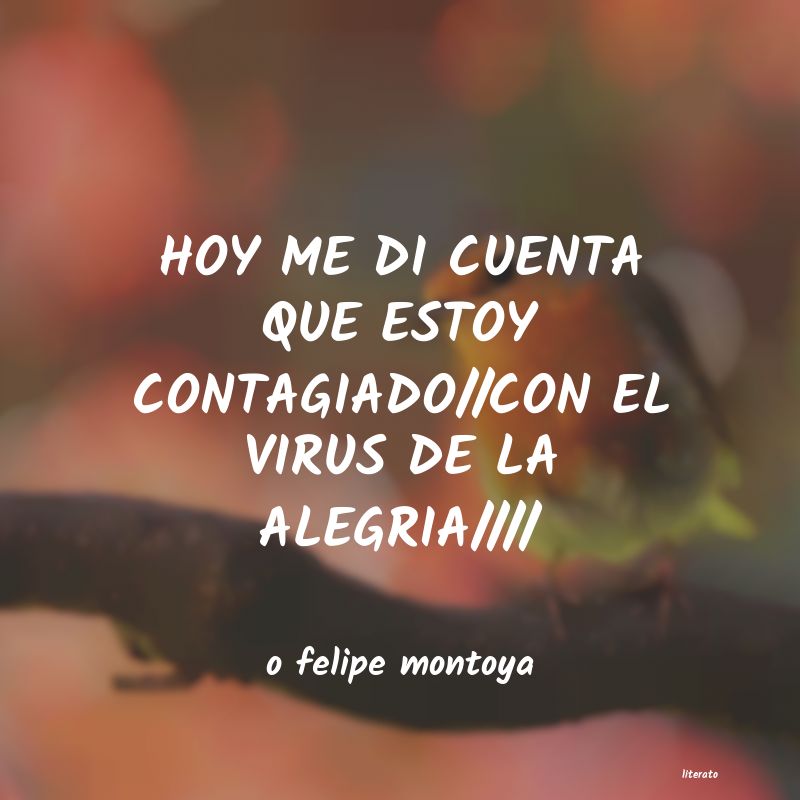 Frases de o felipe montoya