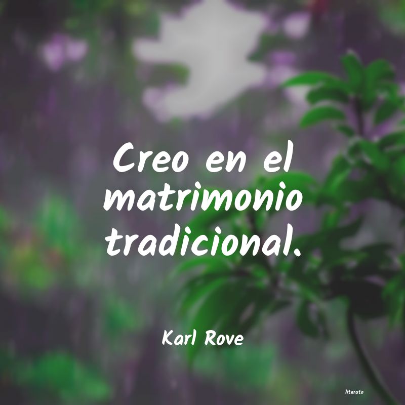 frases de Karl Rove