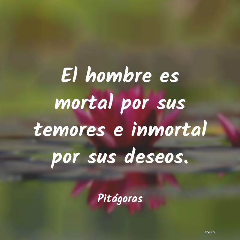 Frases de Pitágoras