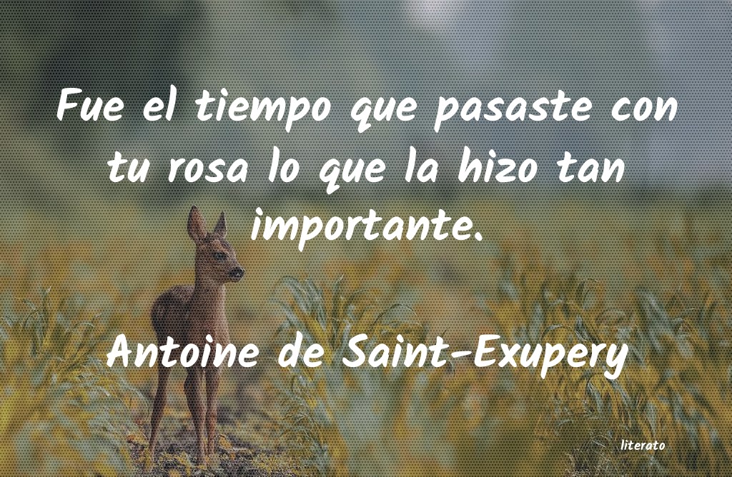 frases de Antoine de Saint-Exupery
