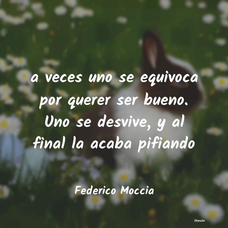 Frases de Federico Moccia