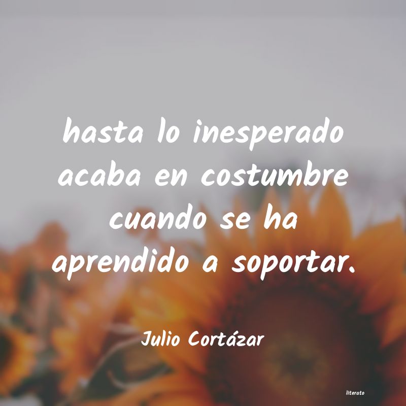 frases de Julio Cortázar