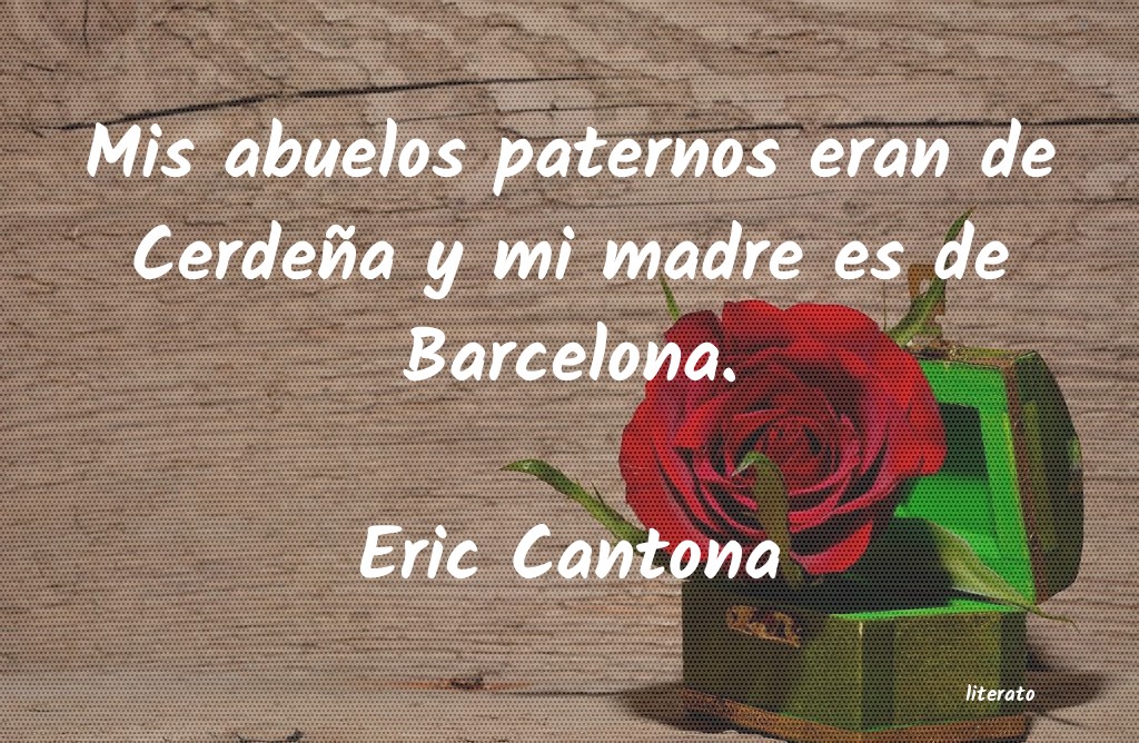 Frases de Compañerismo