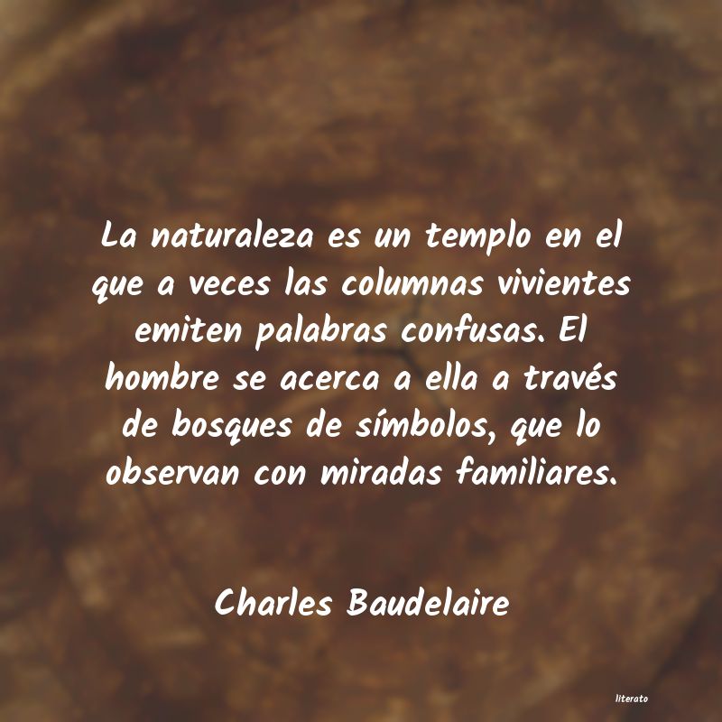 frases de Charles Baudelaire
