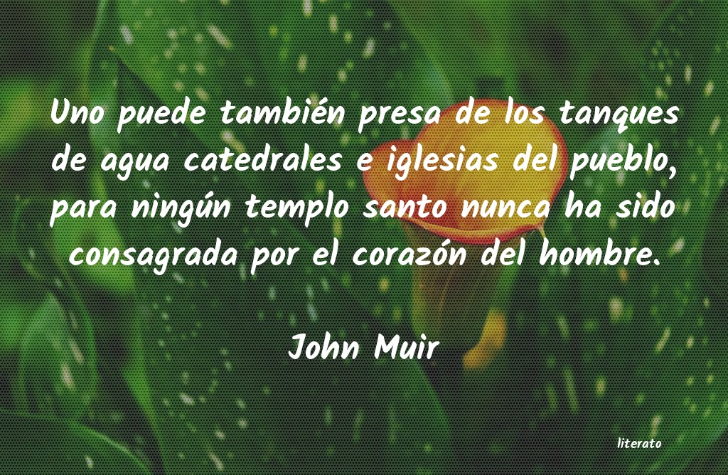 frases de John Muir