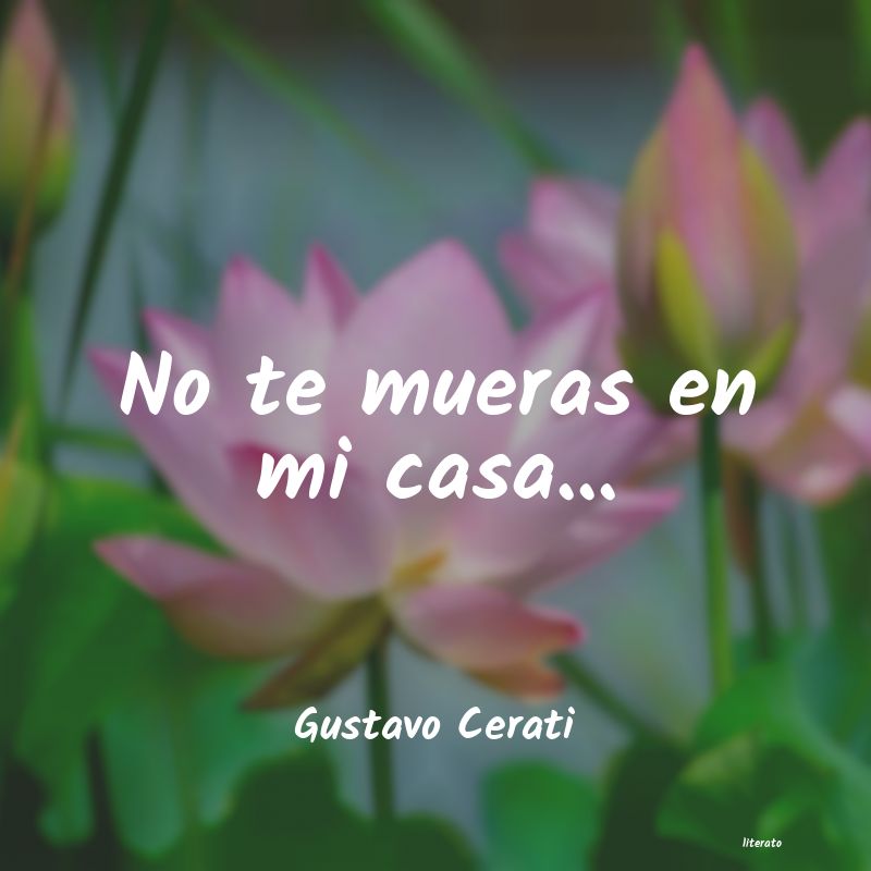 frases de Gustavo Cerati