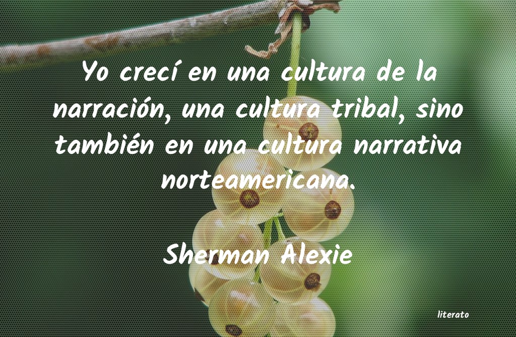 Frases de Sherman Alexie