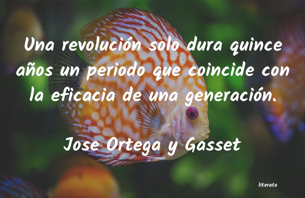 frases de Jose Ortega y Gasset