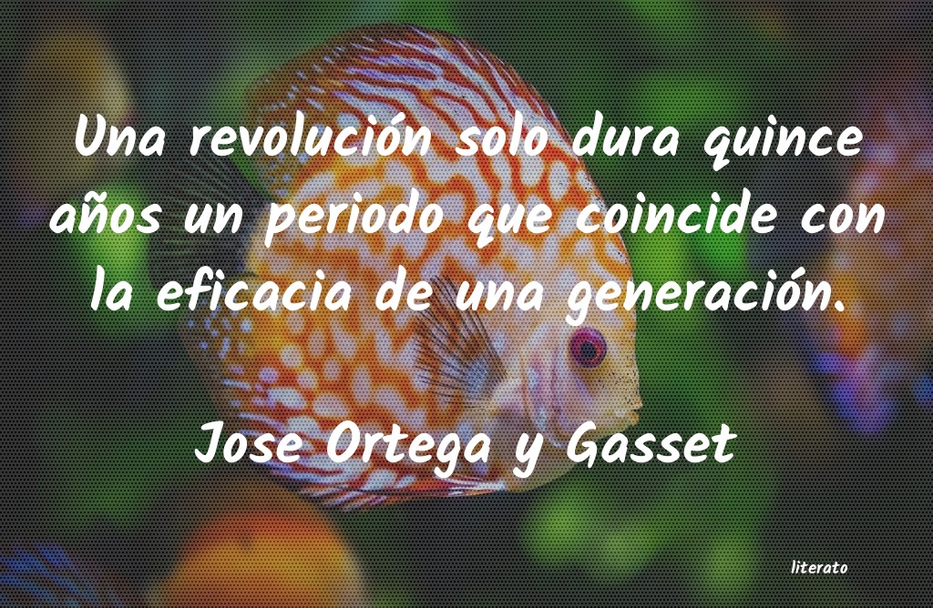 Frases de Jose Ortega y Gasset