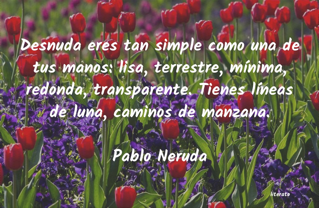 Frases de Pablo Neruda