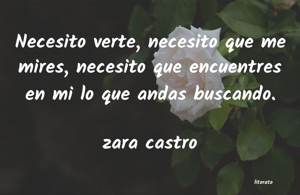 Frases de zara castro