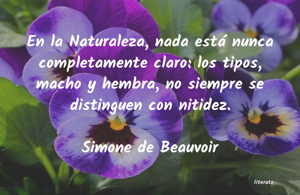 Frases de Simone de Beauvoir