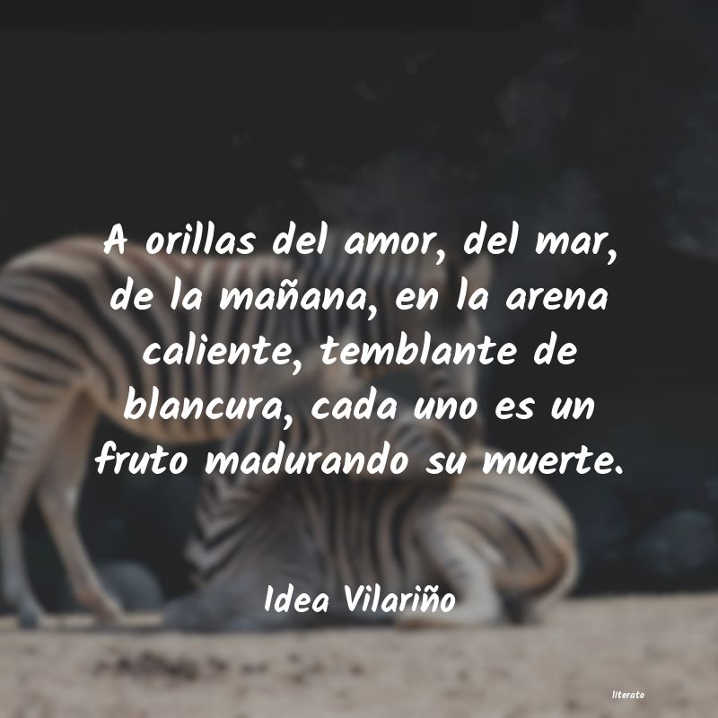 Frases de Idea Vilariño