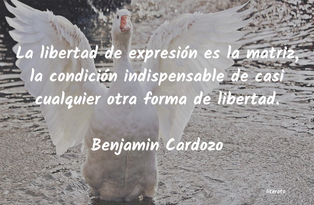 Frases de Benjamin Cardozo