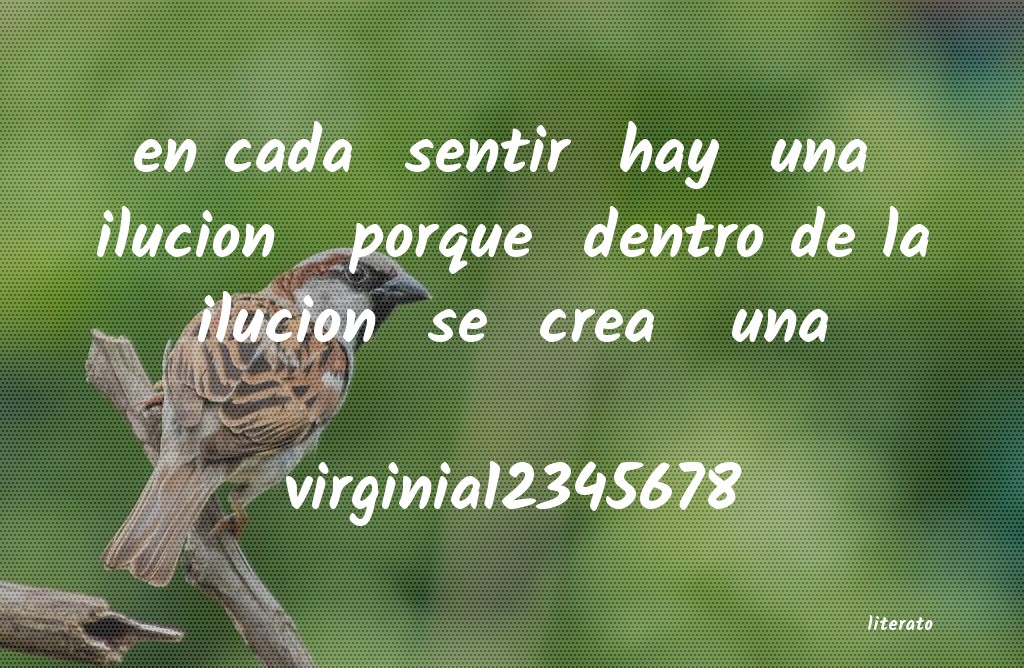 Frases de virginia12345678