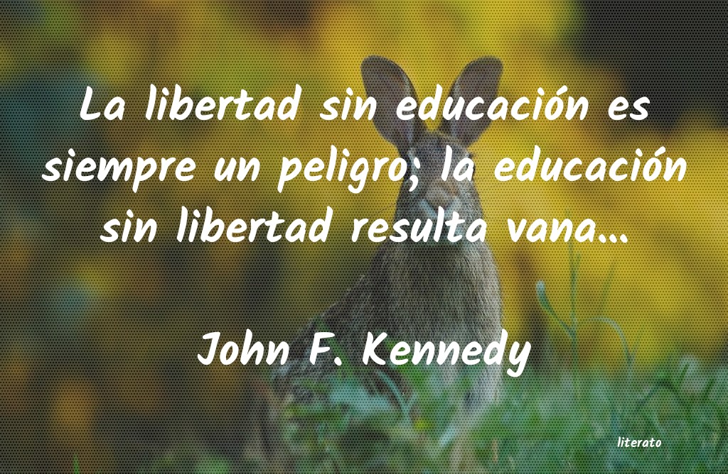 Descubrir 121+ imagen frases de libertad y educacion - Viaterra.mx