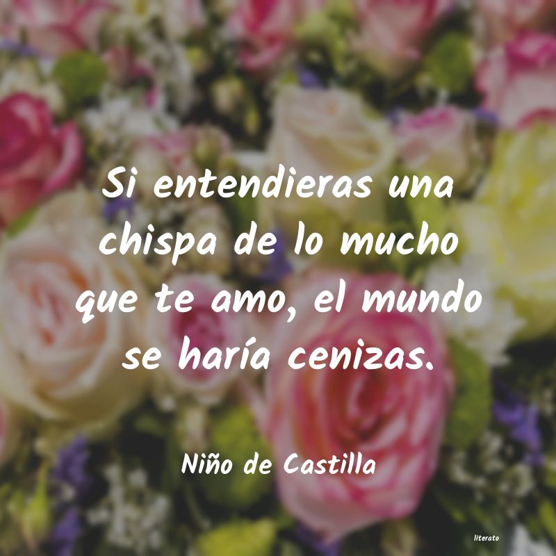 Frases de Niño de Castilla